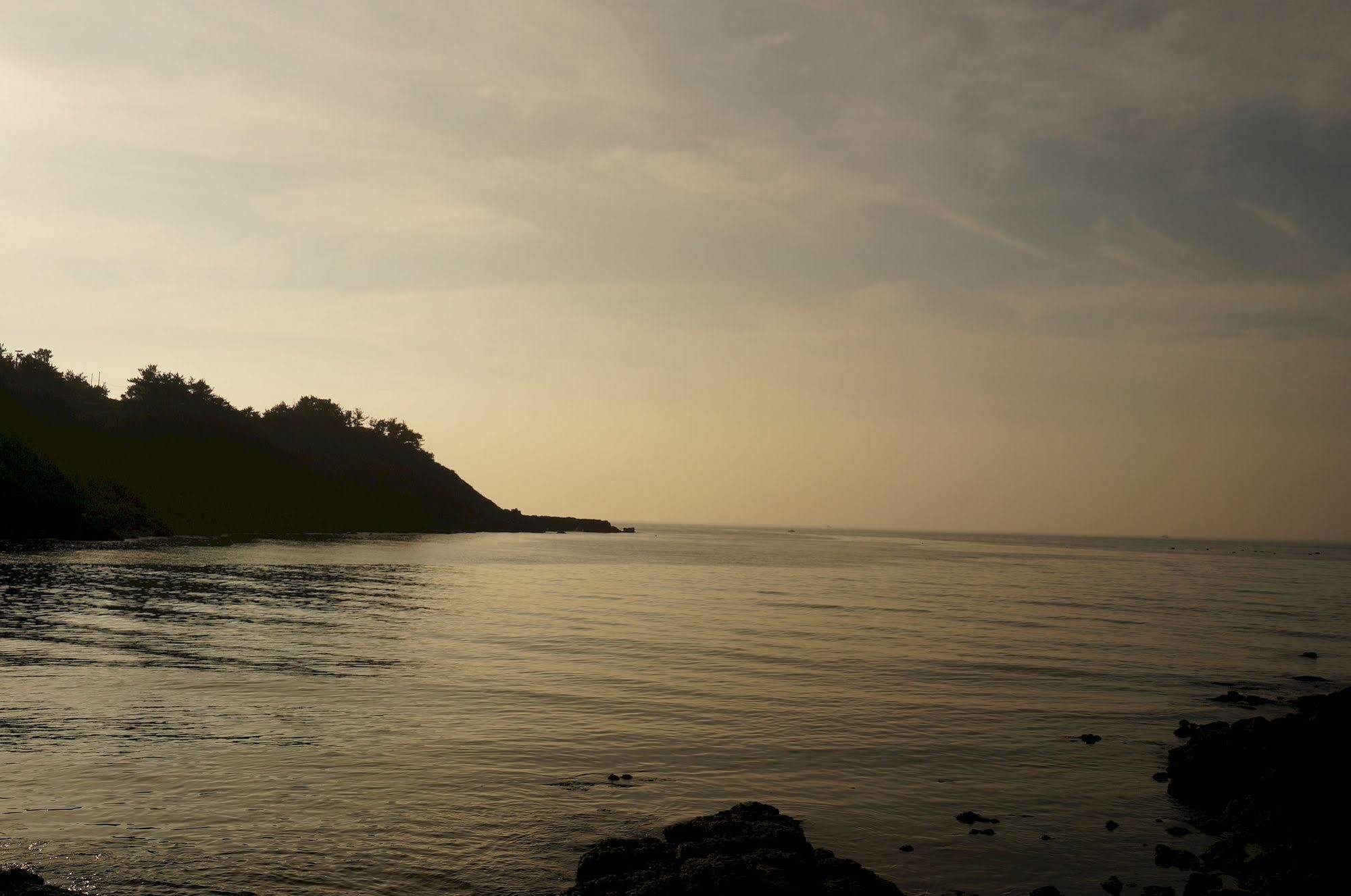 Park Beach Hotel Jeju Dış mekan fotoğraf